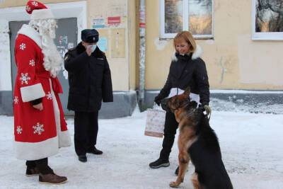 Руководитель нижегородской кинологической службы поздравил с Новым годом полицейских собак-пенсионеров