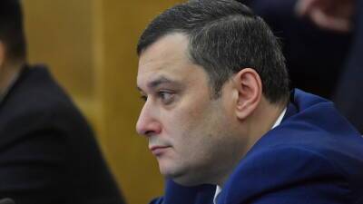 Депутат Хинштейн предложил расширить основания для лишения российского гражданства