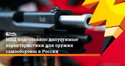 МВД подготовило допустимые характеристики для оружия самообороны вРоссии