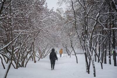 Небольшой снег, сильный ветер и -6 градусов мороза ожидают синоптики в Красноярске 30 декабря