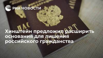 Депутат Госдумы Хинштейн предложил расширить основания для лишения гражданства России