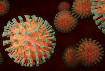 Учёные назвали главный симптом омикрон-штамма коронавируса