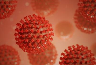 Telegraph: "омикрон" имеет меньший уровень смертности по сравнению с другими штаммами коронавируса