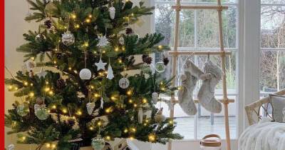 Россиянам рассказали, как безопасно установить и украсить новогоднюю елку