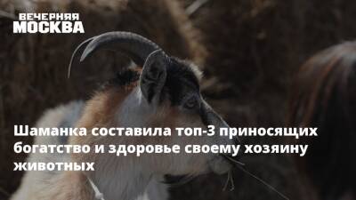 Шаманка составила топ-3 приносящих богатство и здоровье своему хозяину животных - vm.ru