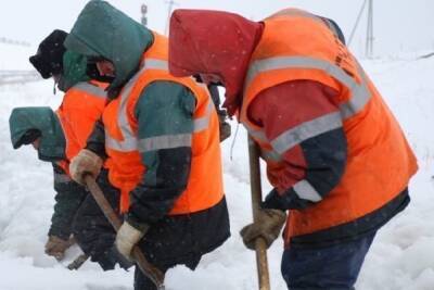 Мэр Архангельска подсчитал количество снега к ежедневной высылке из города