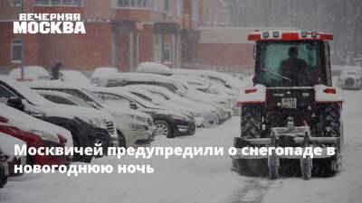 Москвичей предупредили о снегопаде в новогоднюю ночь