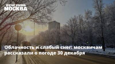 Облачность и слабый снег: москвичам рассказали о погоде 30 декабря