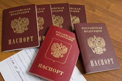 У оппозиционеров могут отобрать российские паспорта