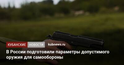 В России подготовили параметры допустимого оружия для самообороны
