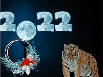 В чем встретить год Тигра?