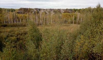 В Нижегородской области свалка ПАО «ГАЗ» Сорокина отравляет воду и почву