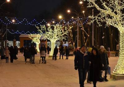 Рязанцы высказались против идеи Жириновского включить дни новогодних каникул в отпуска