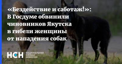 «Бездействие и саботаж!»: В Госдуме обвинили чиновников Якутска в гибели женщины от нападения собак