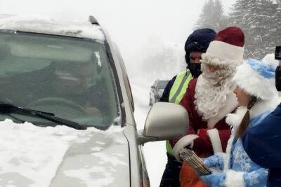 Курганских водителей поздравил полицейский Дед Мороз