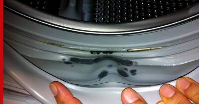 Как избавиться от плесени в стиральной машине: назван самый простой способ
