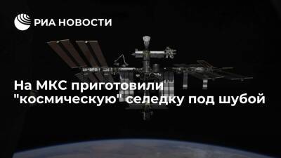 Российские космонавты Шкаплеров и Дубров приготовили на МКС селедку под шубой