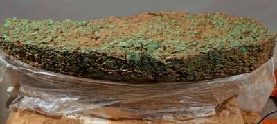 Найден самый большой в мире клад монет железного века (Фото)