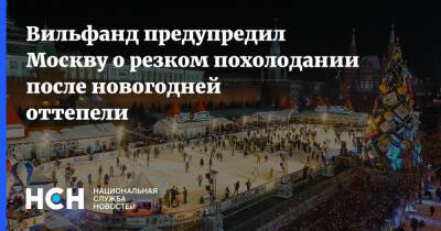 Вильфанд предупредил Москву о резком похолодании после новогодней оттепели