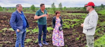 «Я все лето ходил в рубашке с короткими рукавами»: министр объяснил спад в сельском хозяйстве Карелии