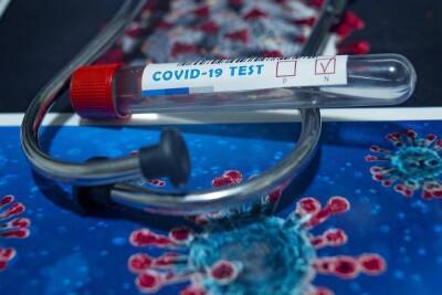224 жителя ДНР заразились коронавирусом за сутки