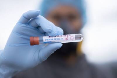 Число инфицированных коронавирусом в Ленобласти снова растет
