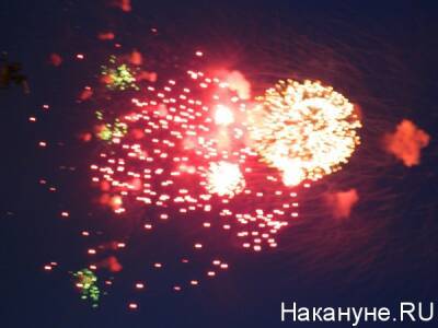 Свердловские экологи предупредили об опасности фейерверков в новогоднюю ночь