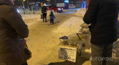 Полицейские заинтересовались 200-рублевой икрой, появившейся перед новогодними праздниками