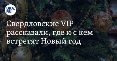 Свердловские VIP рассказали, где и с кем встретят Новый год. «Жареный гусь и самогон»