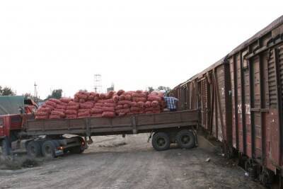 «Овощной тариф»: льготную перевозку картофеля по России придётся субсидировать