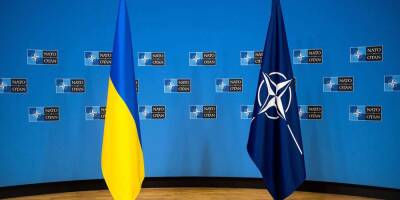 "Собирать бычки и подметать": Надежда Савченко рассказала, чем Украине придется заниматься в НАТО