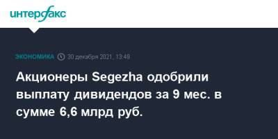 Акционеры Segezha одобрили выплату дивидендов за 9 мес. в сумме 6,6 млрд руб.