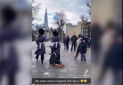 В Лондоне во время марша королевская гвардия сбила с ног ребенка