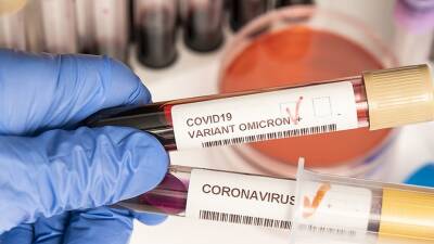В России выявили 103 случая штамма «омикрон» коронавируса