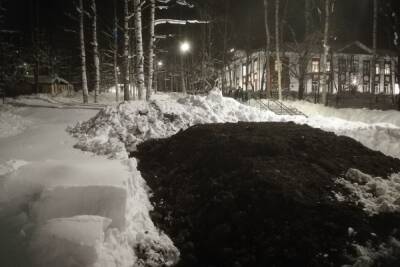 Готовь землю зимой: машину с черноземом свалили на снег в Петрозаводске
