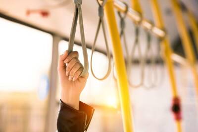 Новый автобус будет курсировать между Красным Селом, «Проспектом Просвещения» и «Автово» с 1 июня 2022 года