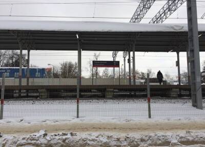 Влюбленные 16-летние подростки погибли под поездом в Подмосковье
