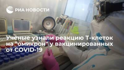 Ученые заявили, что Т-клетки переболевших и привитых от COVID-19 реагируют на "омикрон" - ria.ru - Москва