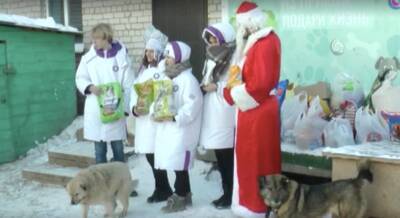 В Калуге волонтёры привезли подарки в собачий приют