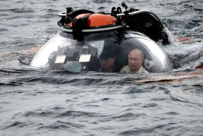 Путин запретил промышленный вылов дельфинов и китов