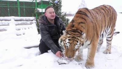 Семье из Новосибирска пришлось распродать почти все, чтобы организовать приют для тигров