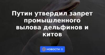 Путин утвердил запрет промышленного вылова дельфинов и китов