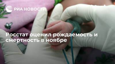 Росстат: рождаемость в России в ноябре увеличилась на 1,8%, смертность выросла на 17%