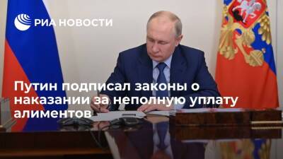 Президент Путин подписал законы о наказании должников за неполную уплату алиментов