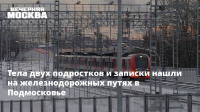 Тела двух подростков и записки нашли на железнодорожных путях в Подмосковье