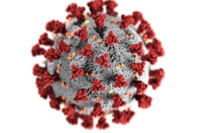 ВОЗ обнародовала данные о зашкаливающей суточной заболеваемости коронавирусом в мире