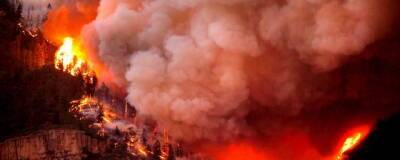 Из-за лесных пожаров в штате Колорадо начали эвакуировать десятки тысяч жителей