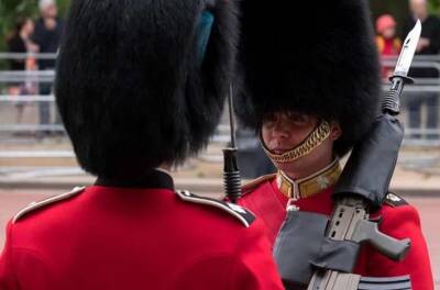 Королевские гвардейцы промаршировали по упавшему ребенку в Лондоне (видео)