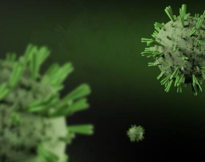 Ученые: «Омикрон»-штамм стал предвестником окончания пандемии коронавируса