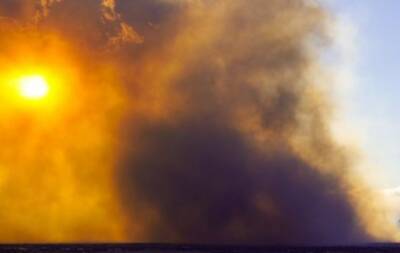 В США из-за лесных пожаров сгорели сотни домов